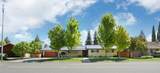 10764 Elkhorn Drive - Photo 5