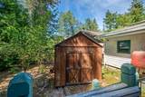2641 Pine Drive - Photo 9