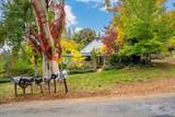 9501 Grizzly Flat Road - Photo 37