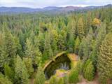 9501 Grizzly Flat Road - Photo 40