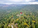 9501 Grizzly Flat Road - Photo 48