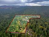 9501 Grizzly Flat Road - Photo 49