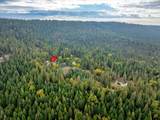9501 Grizzly Flat Road - Photo 51