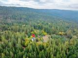 9501 Grizzly Flat Road - Photo 53