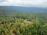 9501 Grizzly Flat Road - Photo 54