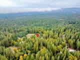 9501 Grizzly Flat Road - Photo 57