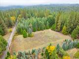 9501 Grizzly Flat Road - Photo 62