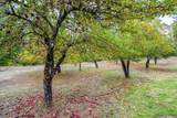 9501 Grizzly Flat Road - Photo 66