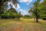 9501 Grizzly Flat Road - Photo 72