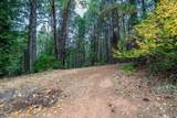 9501 Grizzly Flat Road - Photo 73