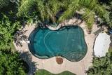 2451 Basque Drive - Photo 58