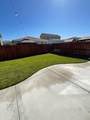 356 Sunol Street - Photo 25