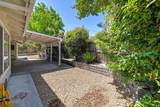 15116 Celebrar Street - Photo 22