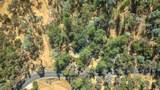 15241 Magnolia Road - Photo 48