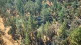 15241 Magnolia Road - Photo 50