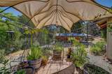 1244 Stallion Way - Photo 10