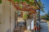 1244 Stallion Way - Photo 24