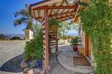 1244 Stallion Way - Photo 40