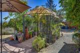 1244 Stallion Way - Photo 9