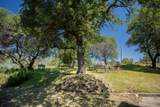 49 Dancing Wind Drive - Photo 49