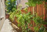 665 Comunidad Street - Photo 36