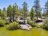 1434 Skyline Drive - Photo 67