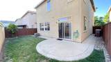 2844 Myotis Drive - Photo 19