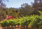 49610 House Ranch Road - Photo 1