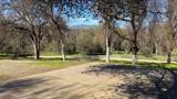 4421 Scrubby Oak Drive - Photo 45
