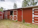 36686 Mattie Fhy Court - Photo 44
