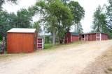 36686 Mattie Fhy Court - Photo 47