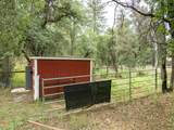 36686 Mattie Fhy Court - Photo 50