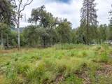 36686 Mattie Fhy Court - Photo 51