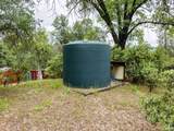 36686 Mattie Fhy Court - Photo 54