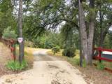 36686 Mattie Fhy Court - Photo 59