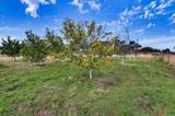 10203 Reedy Drive - Photo 76