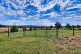 10203 Reedy Drive - Photo 79
