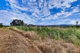 10203 Reedy Drive - Photo 83