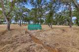 10203 Reedy Drive - Photo 86