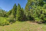 15853 Schaefer Ranch Road - Photo 44