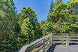 15853 Schaefer Ranch Road - Photo 50