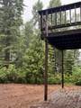 16859 Wyatt Earp Road - Photo 11