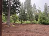 16859 Wyatt Earp Road - Photo 15
