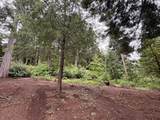16859 Wyatt Earp Road - Photo 17