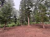 16859 Wyatt Earp Road - Photo 29