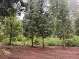 16859 Wyatt Earp Road - Photo 45