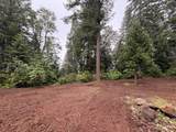 16859 Wyatt Earp Road - Photo 47