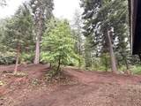 16859 Wyatt Earp Road - Photo 50