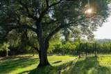10209 Ranch Road - Photo 54
