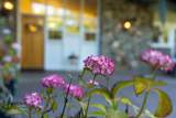 10209 Ranch Road - Photo 56